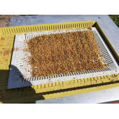 ARI POLENİ KURUTULMUŞ 250GRAM - 1