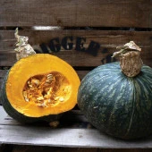 Kışlık Doğal Hubbard Anna Swartz Kabak Tohumu(10 tohum) - 1