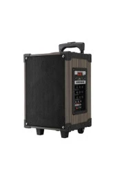 Süper Bass Şarjlı Telsiz Mikrofonlu Amfi Sistemi-Bt-Sd-Usb Lt-908 Model - 2