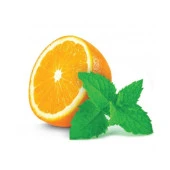 Portakal Aromalı Granada Nane Fidesi (2 adet) - 1