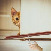 Buffer® 4 Adet Kapı Toz Rüzgar Önleyici Isı Yalıtımı Sağlayan Sızdırmaz Strafor - 5