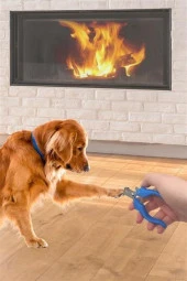 BUFFER® Evcil Hayvan Kedi ve Köpek Paslanmaz Çelik Yaylı Tırnak Makası ve Düzeltme - 4