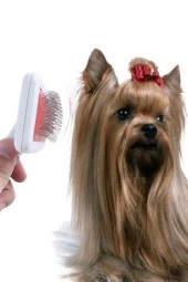 BUFFER® Paslanmaz Evcil Hayvan Kedi Köpek Tüy Tarama Toplama Fırçası Kolay Temizlenir Bakım Aleti - 9