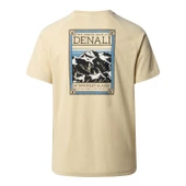 The North Face Erkek Kısa Kollu NORTH FACES Tişört NF0A87NU3X41 thumbnail 2