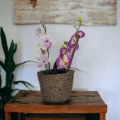 T.Concept Dekoratif Yuvarlak Çok Amaçlı Rattan Sepet Orta Boy - 2