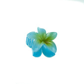 Toka Gül Tokası Altılı Set - 5