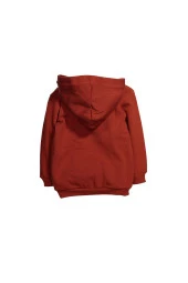 Erkek Bebek Baskılı Kapüşonlu Sweatshirt (9ay-4yaş) - 2