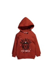 Erkek Bebek Baskılı Kapüşonlu Sweatshirt (9ay-4yaş) - 1