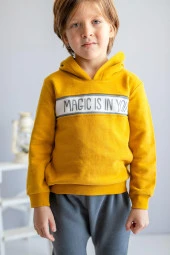 Erkek Çocuk Kapüşonlu Sweatshirt ve Eşofman Altı Takım (2-7yaş) - 3