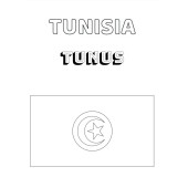 Afrika Ülke Bayrakları Çizme ve Boyama Kitabı - 5