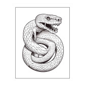 Kolaydan Zora TATTOO Boyama Kitap Seti (3 Kitap) - 7