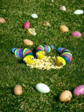 Söktak Eğlenceli Stres ve Anksiyete giderici Montessori Renkli Tırtıl Eğitici Oyuncak 1 Adet - 5