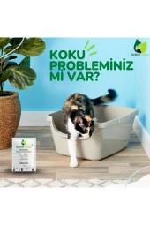 Active Clean Kedi Kumu Koku Giderici 25 G 24lü Set - 5