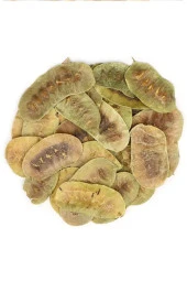 Organik Taze Dökme Açlık Otu 250 Gr - 1