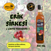 Erik Sirkesi - 1