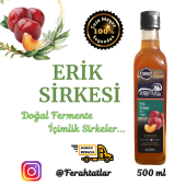 Erik Sirkesi - 2
