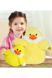 Daylin Civciv Ailesi - 1