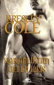 Karanlıktan Gelen İblis - 1