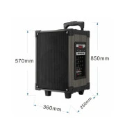 Torima Profesyonel LT-912 BT kablosuz hoparlör Bass ses kutusu thumbnail 2