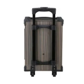 Torima Profesyonel LT-912 BT kablosuz hoparlör Bass ses kutusu thumbnail 6