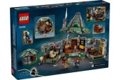 Lego Harry Potter 76428 Hagrid's Hut: An Unexpected Visit - 2
