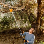 WORX WA0222 WG186E.1 ile Uyumlu 25CM Teleskobik Uzatmalı Zincirli Dal Budama Başlığı - 4