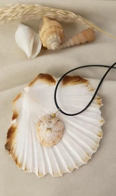 Kolye Doğal Deniz Kabuk Tasarım Harf Takı Nazar Boncuk Charm Takı Kadın Kız thumbnail 3