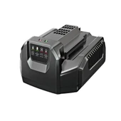 Ego Power Ch2100e Standart Şarj Cihazı 210 Watt thumbnail 2