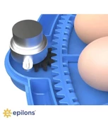 80 Yumurta Kapasiteli Otomatik Çiftlik Kuluçka Makinesi : Yumurta, Bıldırcın, Civciv Ve Kanatlılar İçin Mz-80 - 4