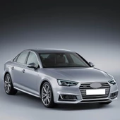 Audi A4 2016-2020 Ön Motor Kaput Kapak Amortisörü 1 Ad. 8W0823359C - 2