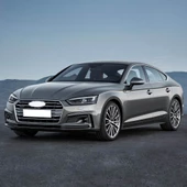 Audi A5 Sportback 2017-2020 Ön Motor Kaput Amortisörü 1 Ad. 8W0823359B thumbnail 2