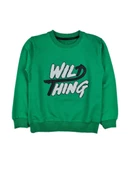 Erkek Çocuk Mevsimlik Sweatshirt WILD - 9
