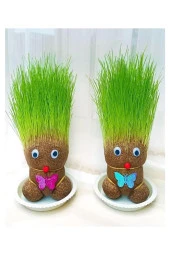 Çim Adam Yapım Seti 10 Paket Okul Eğitici Deney Seti Çim Adam Seti thumbnail 3