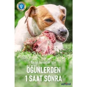 Vetürel Kedi Köpek Ağız ve Diş Bakım Spreyi 100 ml - 5