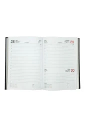 Lizy 2024 Nubuk Kapaklı Yaldızlı Günlük Ajanda 14x20cm Ajnb922 - 2