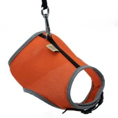 Cattie Havalı Kedi Göğüs ve Gezirme Tasması Takım Turuncu 1x25-35 Cm - 1