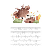 Okul Öncesi Çizgi Alfabe Sayı Şekil YAZ-SİL Kitabı - 5