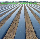 ABKPlastik Siyah Taban Örtüsü 25m - 3