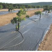 ABKPlastik Siyah Taban Örtüsü 35m thumbnail 1