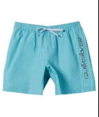Quiksilver AQYJV03139 Everyday Vert Volley 16 Erkek Şort Mayo - 4