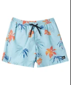 Quiksilver AQYJV03147 Everyday Mix Volley 15 Erkek Şort Mayo - 4