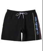 Quiksilver AQYJV03139 Everyday Vert Volley 16 Erkek Şort Mayo - 5