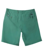 Quiksilver AQYHY03242 Union Amphibian 20 Erkek Şort thumbnail 2