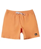 Quiksilver AQYJV03153 Everyday Solid Volley 15 Erkek Şort Mayo thumbnail 5