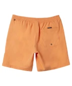 Quiksilver AQYJV03153 Everyday Solid Volley 15 Erkek Şort Mayo thumbnail 6