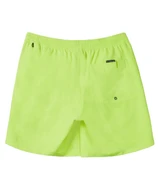 Quiksilver AQYJV03153 Everyday Solid Volley 15 Erkek Şort Mayo thumbnail 2