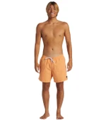 Quiksilver AQYJV03153 Everyday Solid Volley 15 Erkek Şort Mayo thumbnail 3