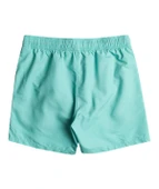 Billabong EBYJV00134 All Day Lb Erkek Şort Mayo - 3