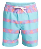 Quiksilver EQYJV04062 Take Us Back Vl 17 Erkek Şort Mayo - 5