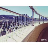 Kuş Kondurmaz 1ADET 50cm Şeffaf Tel Diken Kovucu - 3